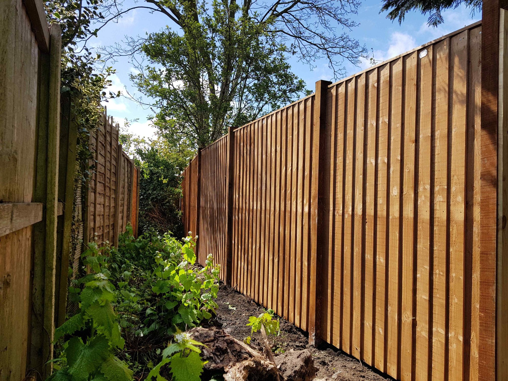 Garden landscaping by Inspired Gardens